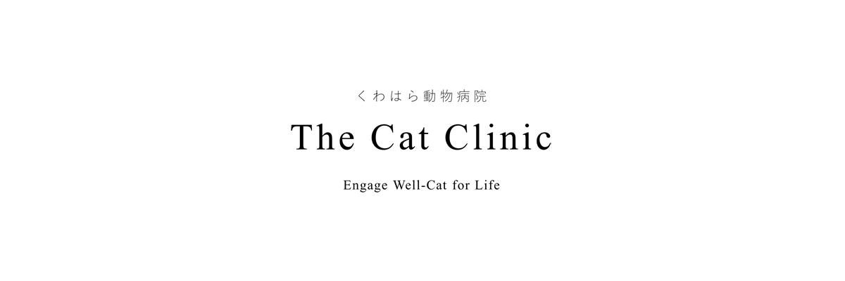 catclinic.png