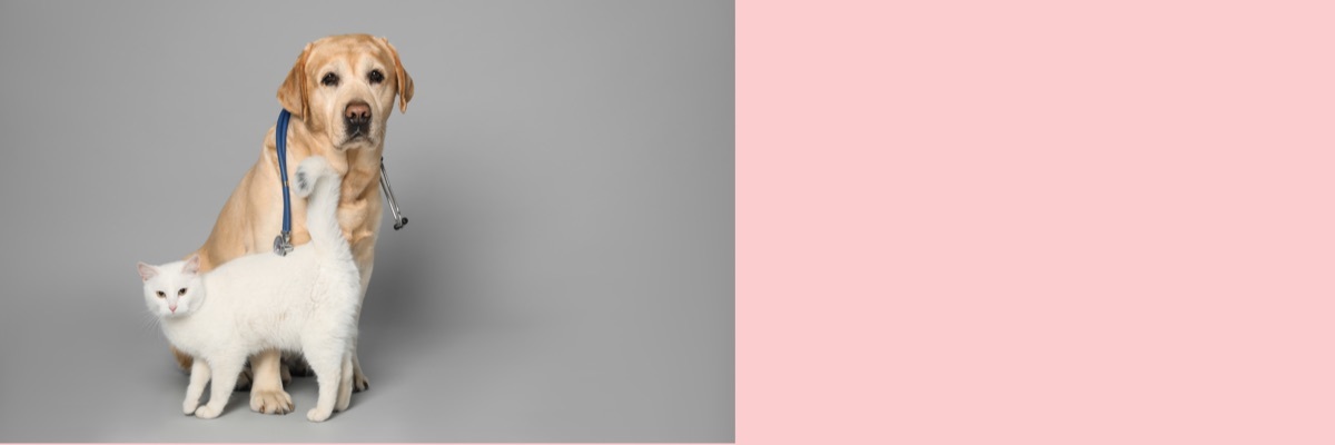 PXT00010114212903.jpg